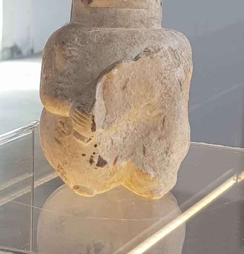 Museo Archeologico e Paleobotanico di Perfugas景点图片
