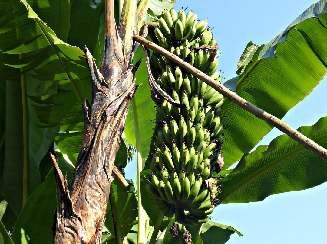 Songota Falls Lodge主图