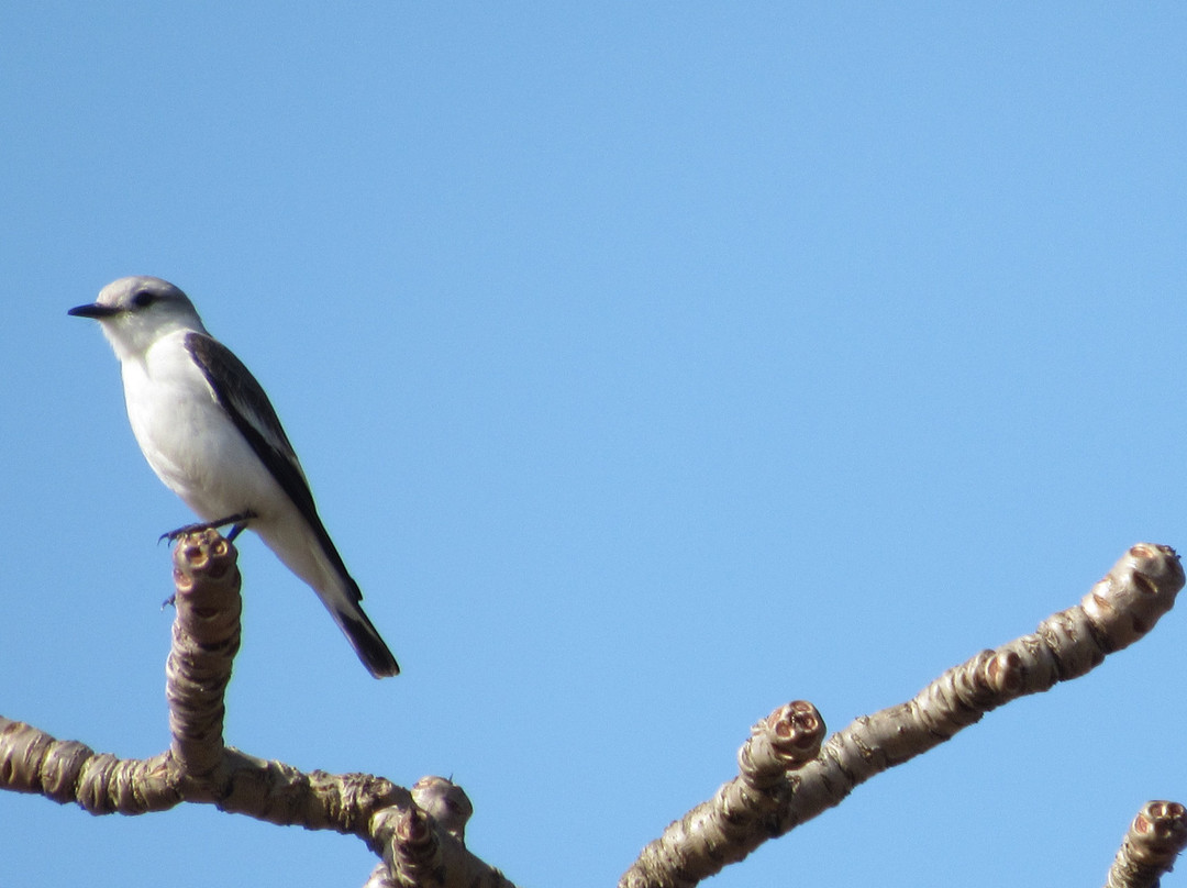 Serra do Gandarela National Park-Itabirito必去景点