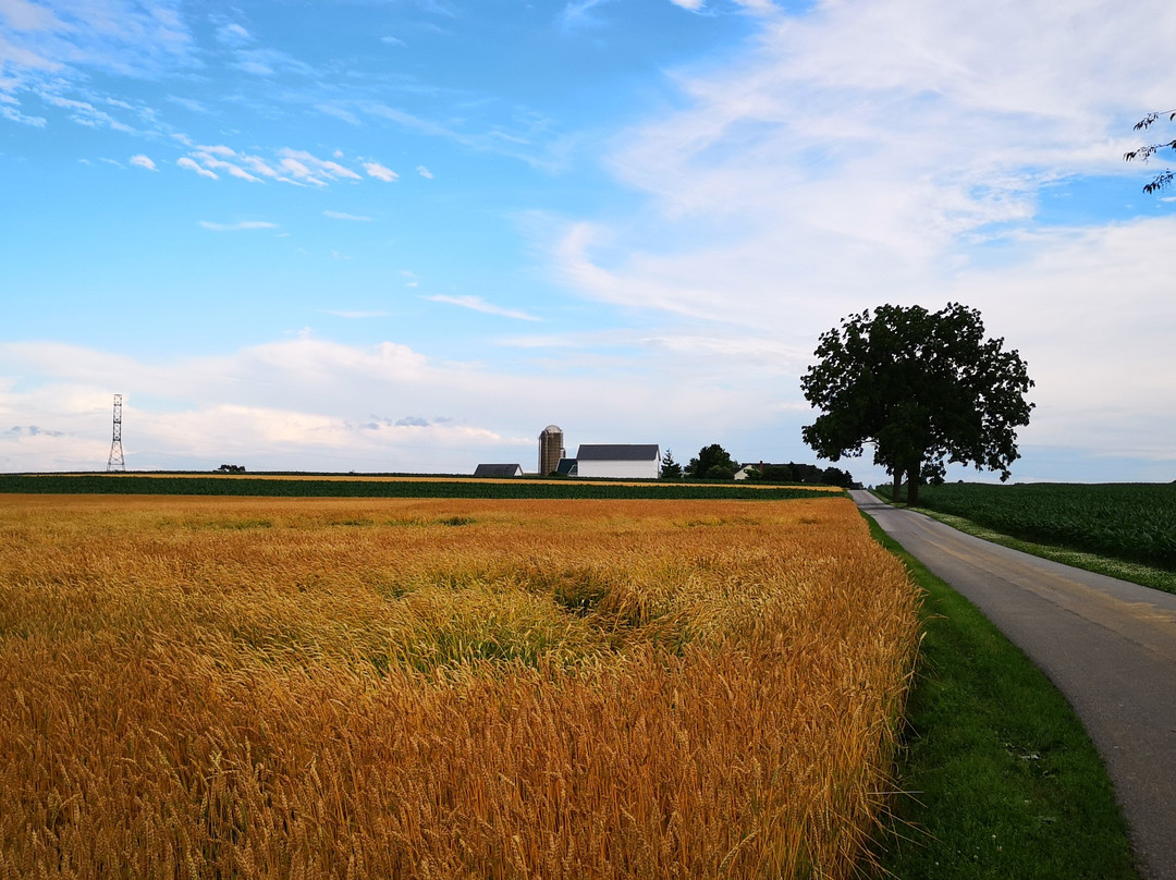 Weathervane Motor Court主图