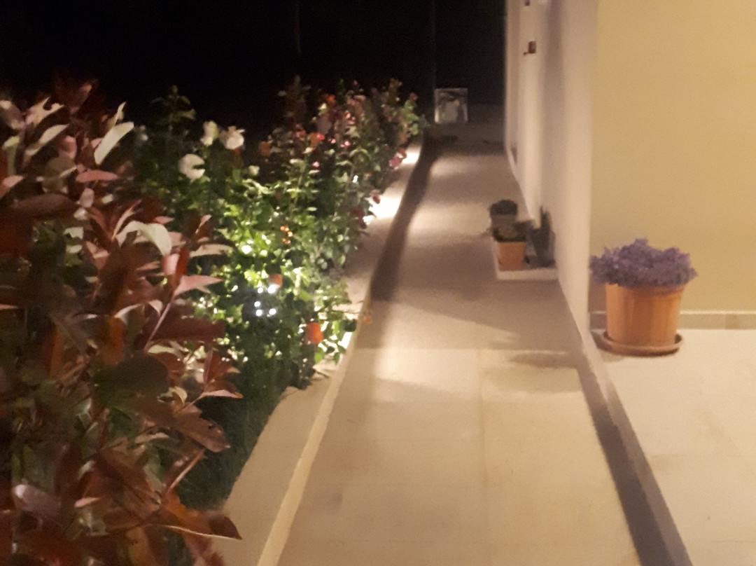 Astir Notos Hotel主图