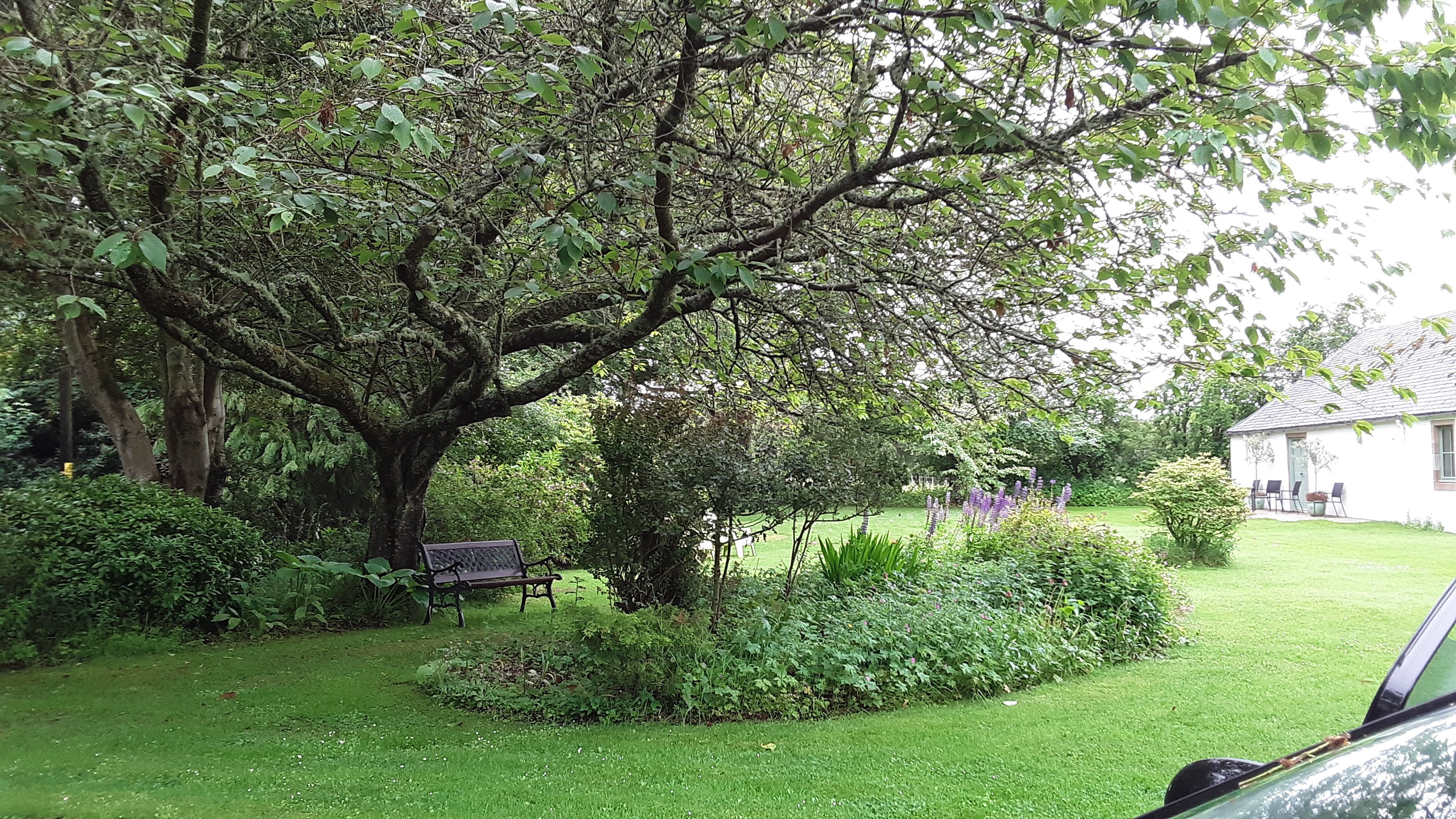 The Old Manse Bed and Breakfast-浴室