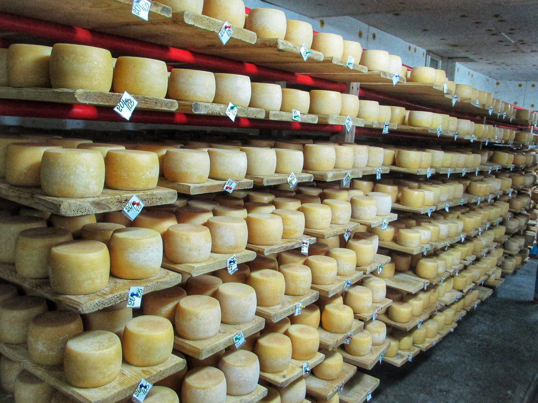 Selyshche Cheese Factory-Nyzhnje Selyshche必去景点