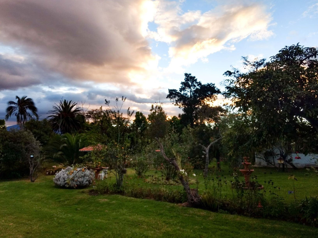 Puembo Birding Garden主图