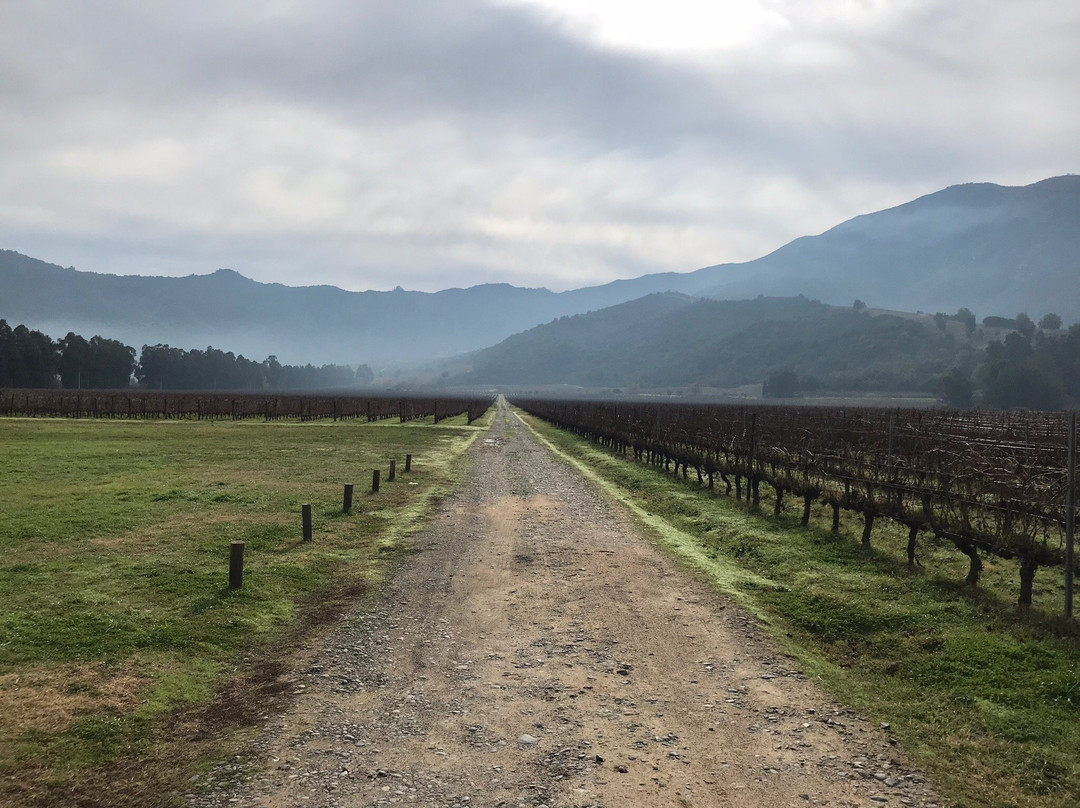 Vina Las Ninas-圣克鲁斯必去景点