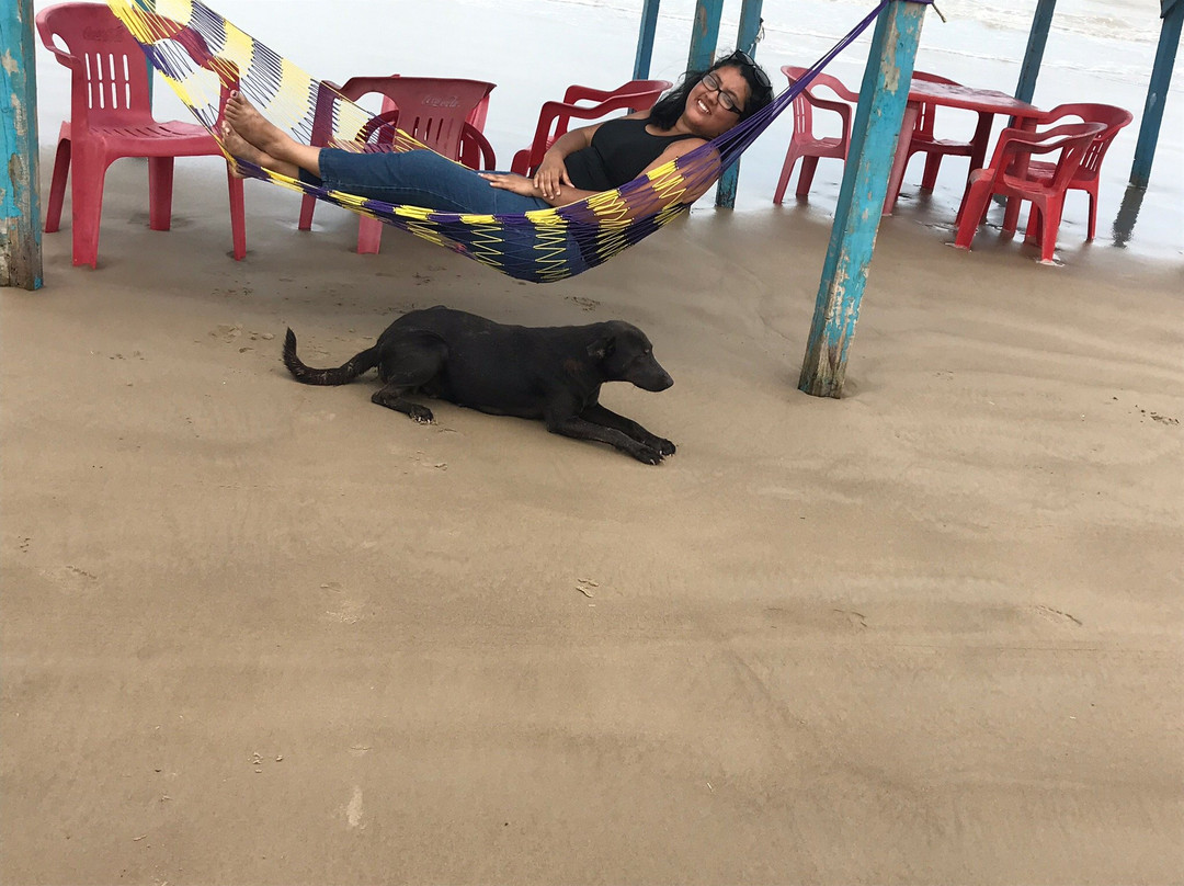 Playa Bagdad-Matamoros必去景点