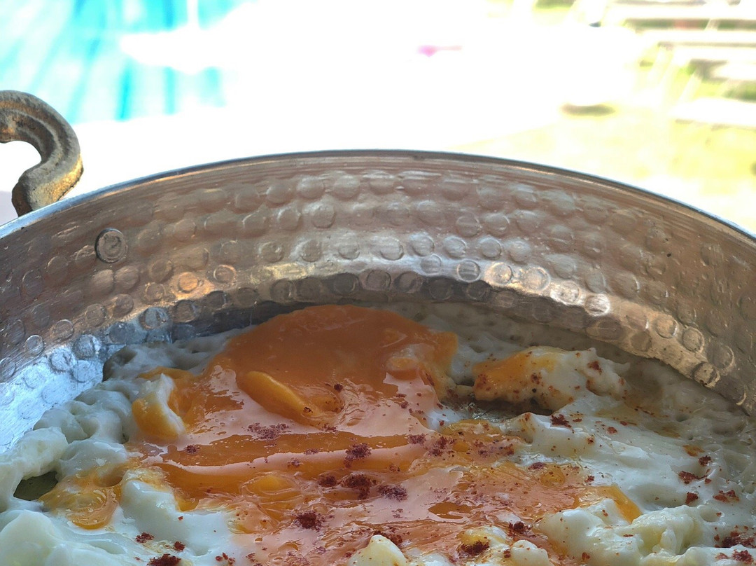 Palmiye Resort Hotel Dalyan主图