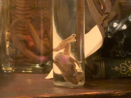 Trundle Manor-匹兹堡必去景点