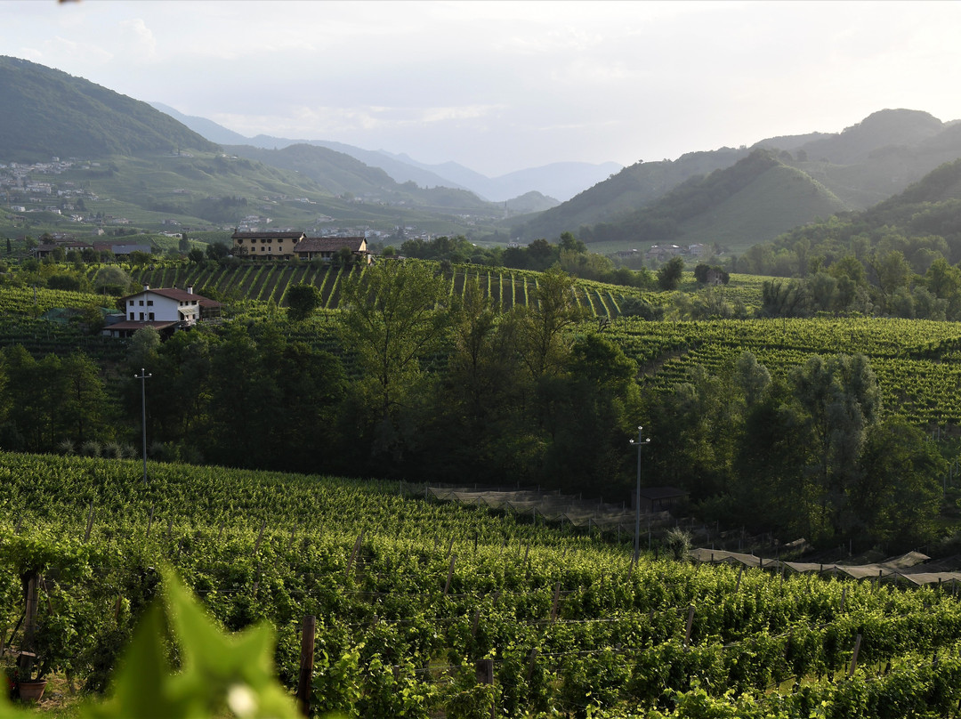 La Baracheta Azienda Agrituristica