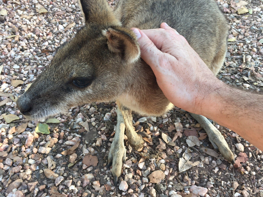 Nina's Ark Wildlife Sanctuary景点图片