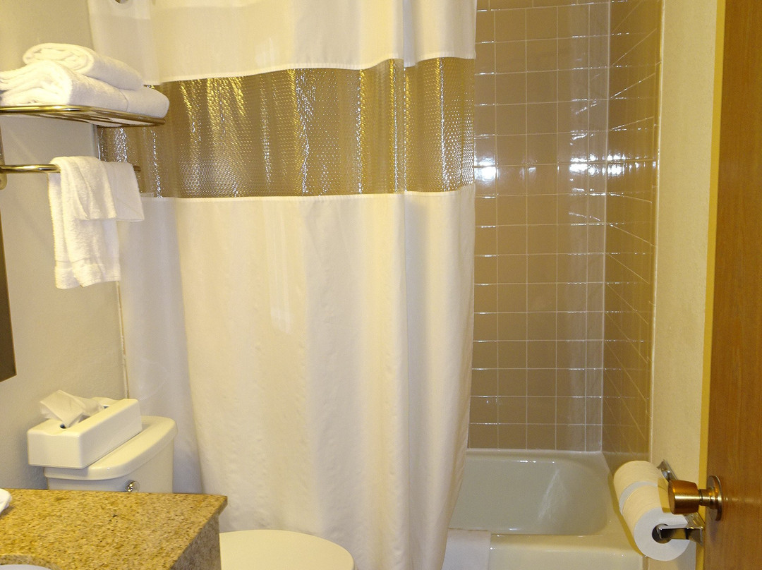 杜布克贝蒙特旅馆套房酒店主图