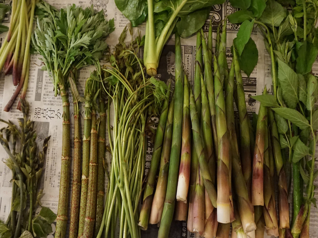 New Greenpia Tsunan主图