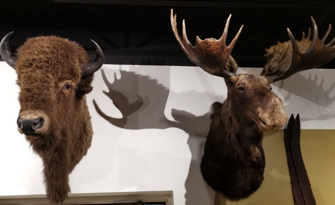 Jackson Hole Historical Society & Museum-杰克逊必去景点