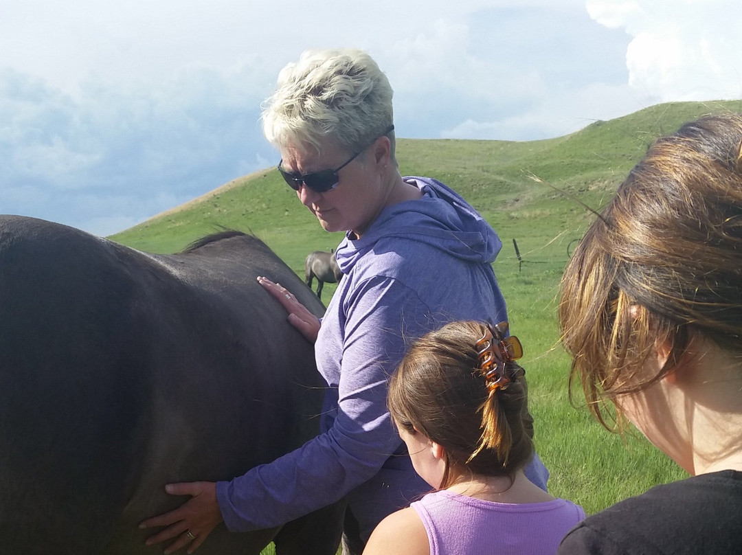 Windcross Conservancy-Buffalo Gap必去景点