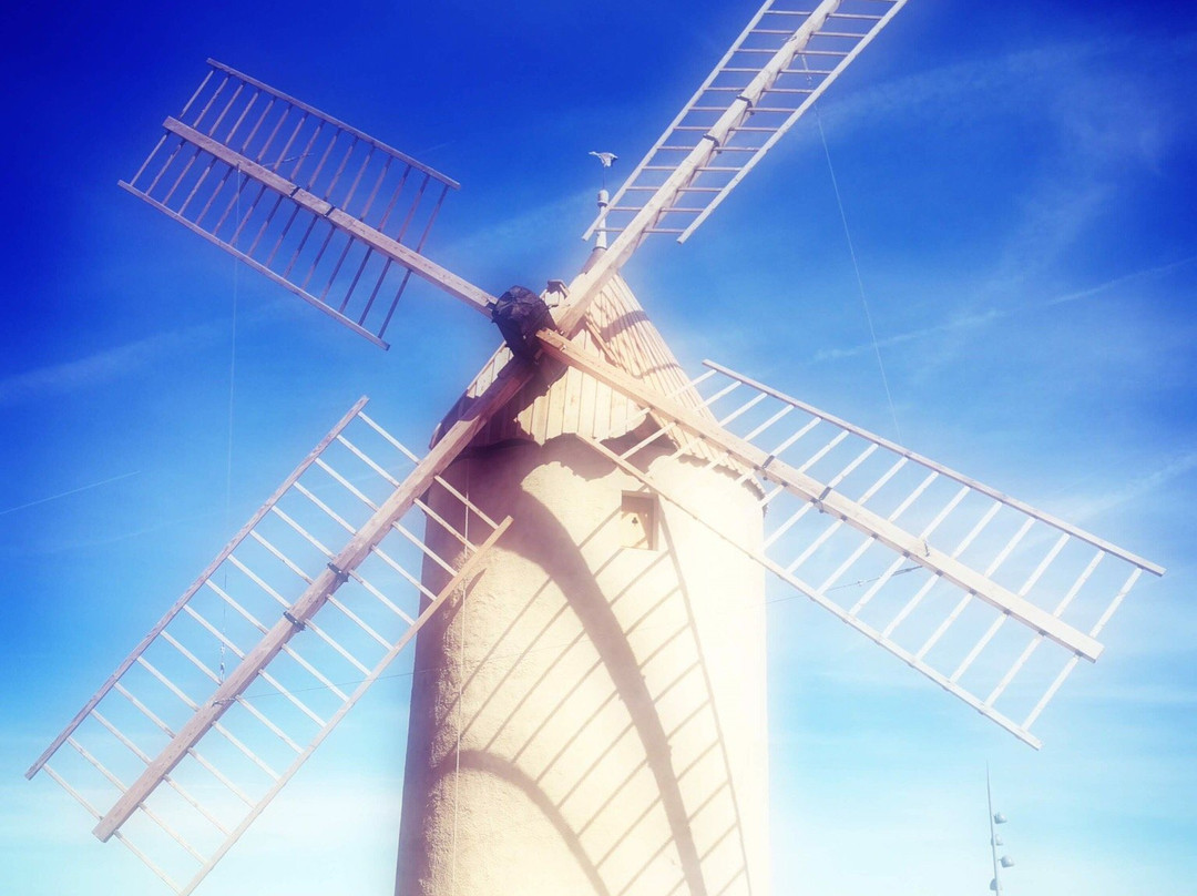 Le Moulin de Durban景点图片