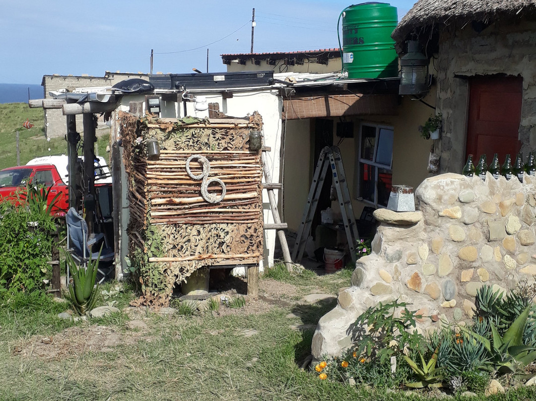 Mdumbi Beach-Mdumbi必去景点