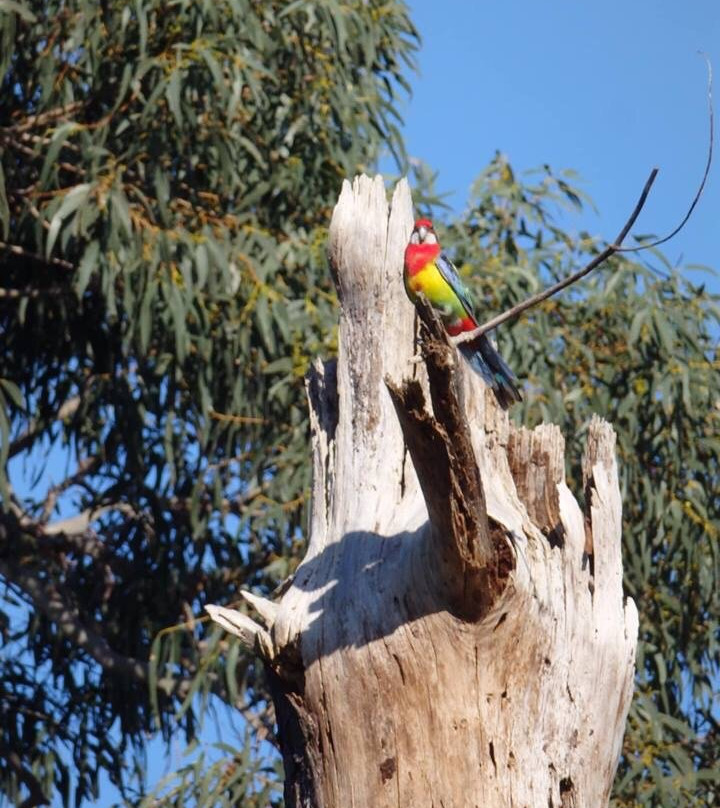 Peninsula Gardens Bushland Reserve景点图片