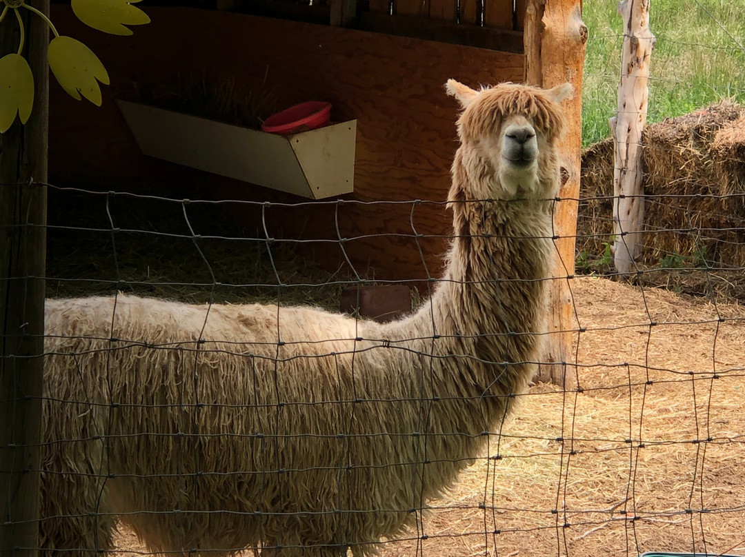 Agape Farm & Retreat主图