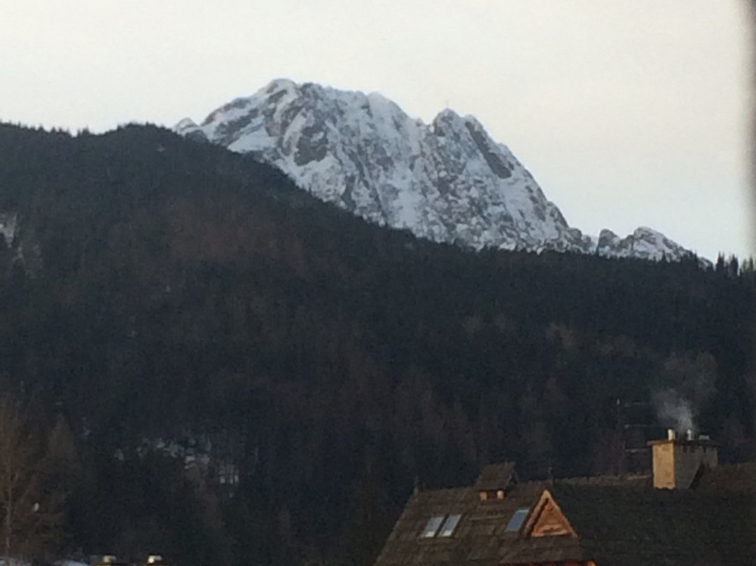 Nosalowy Dwór Resort & SPA主图