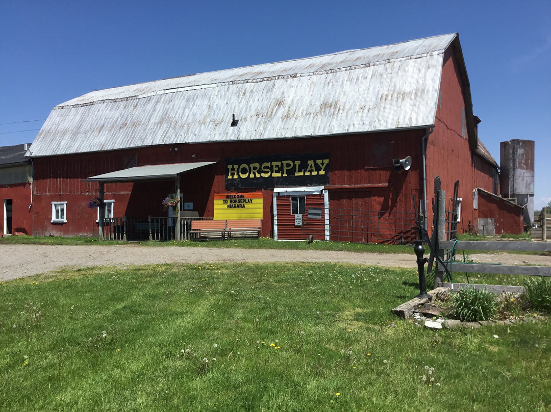 HorsePlay Niagara-科尔本港必去景点