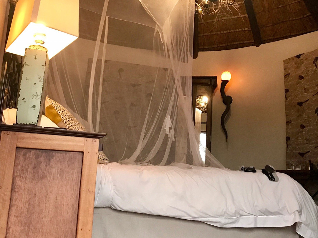 The Loerie Hide主图