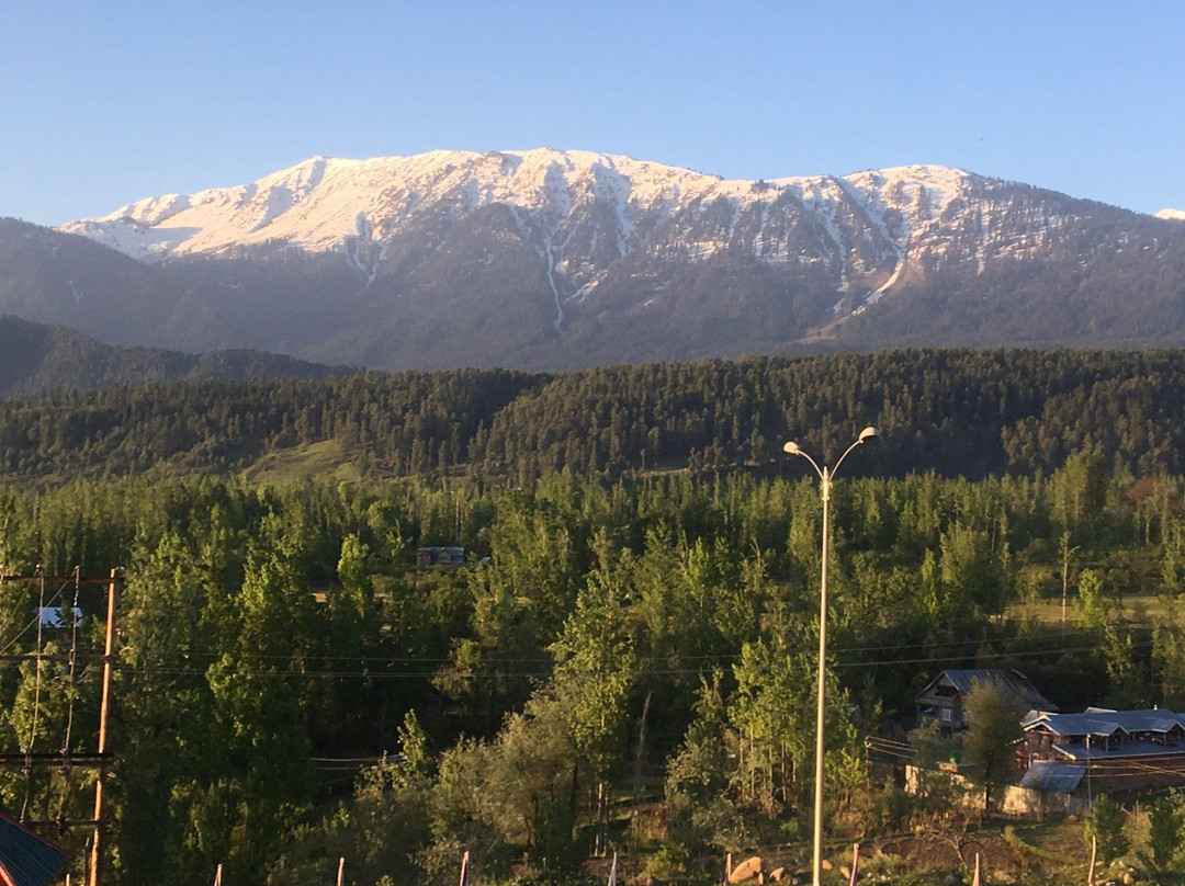 Hotel Signature主图