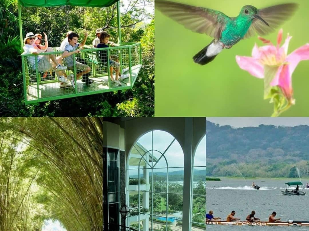 Gatun Eco Adventures景点图片