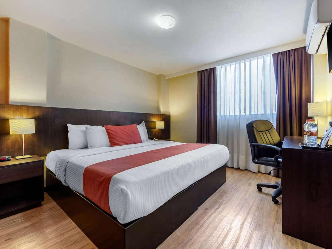 Comfort Inn San Luis Potosi主图
