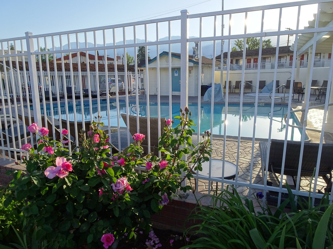 Dow Villa Motel主图