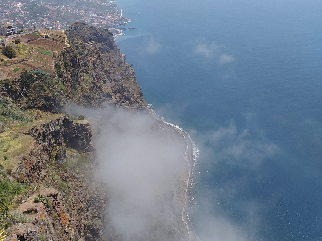 Madeira Green Train-Camara De Lobos必去景点