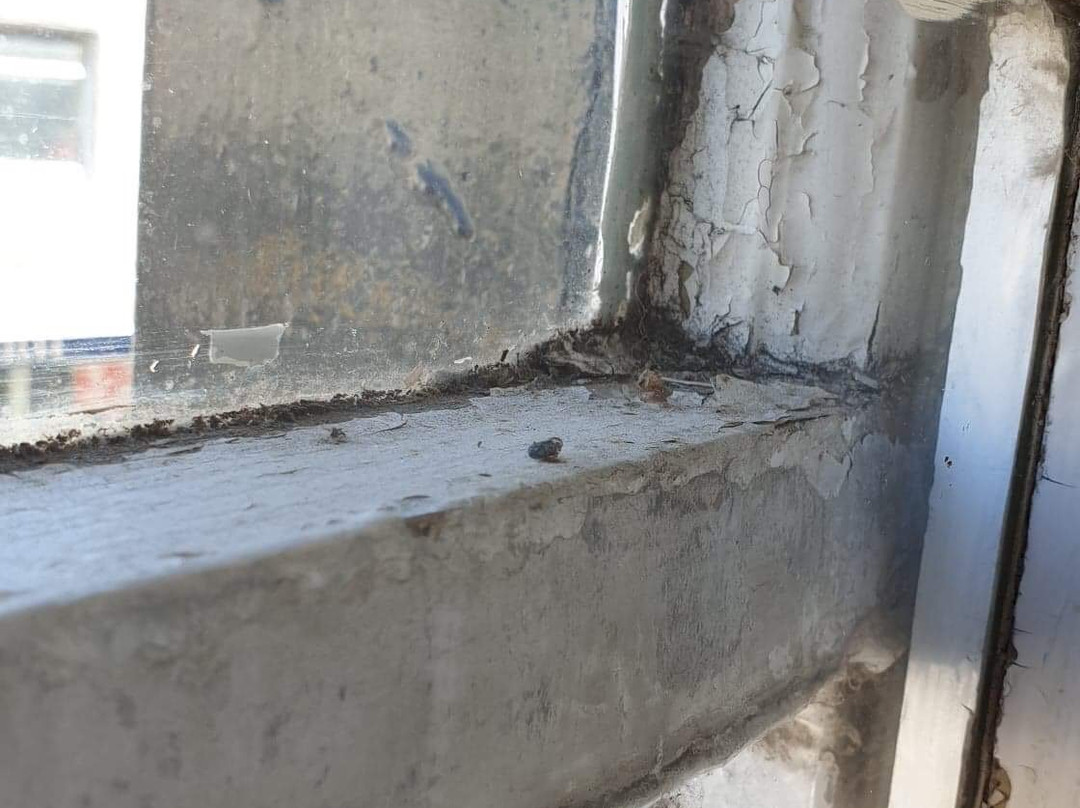 Black Swan Hotel主图