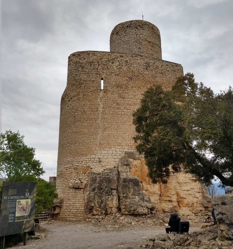 Castle of Mur景点图片