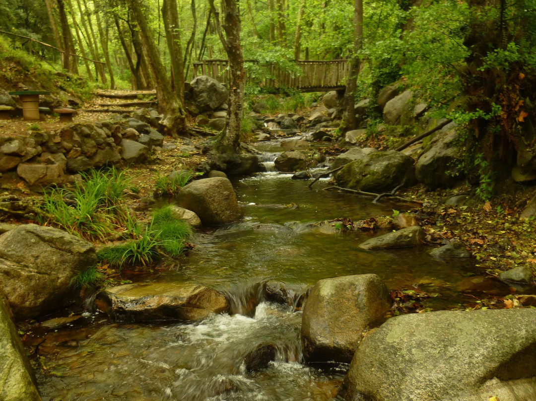 Parque Mediombiental de Gualba-Gualba必去景点