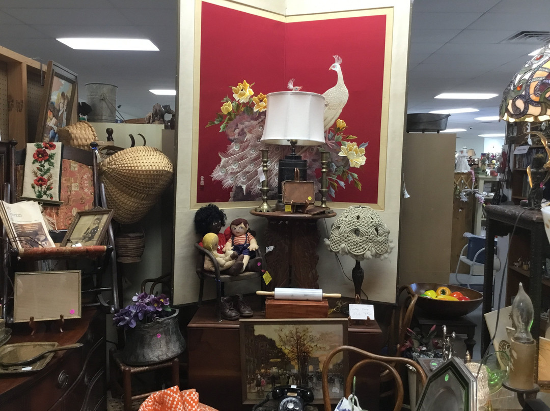 Treasures on the Lane景点图片