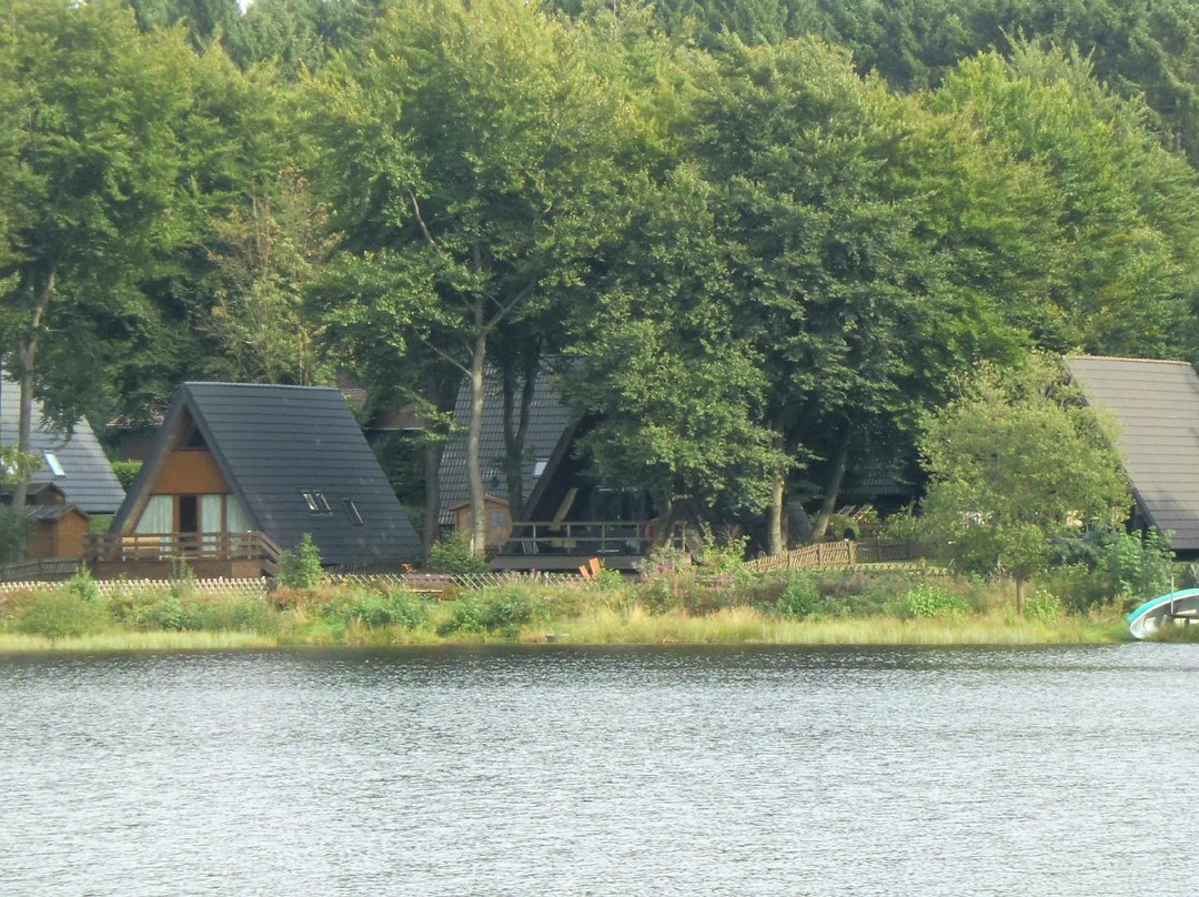 克劳斯塔尔-采勒费尔德酒店住宿-Ferienpark Waldsee