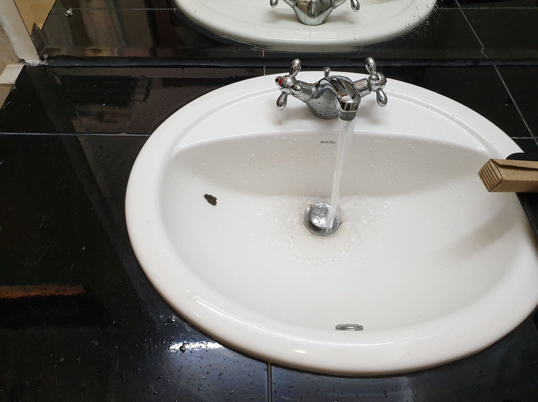 提沙维瓦保护区酒店主图