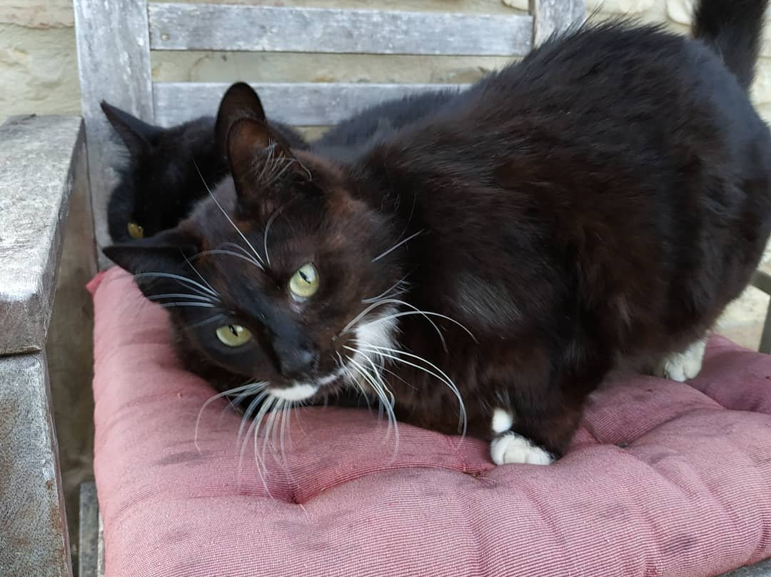 Il Fienile Sotto L'Arco主图