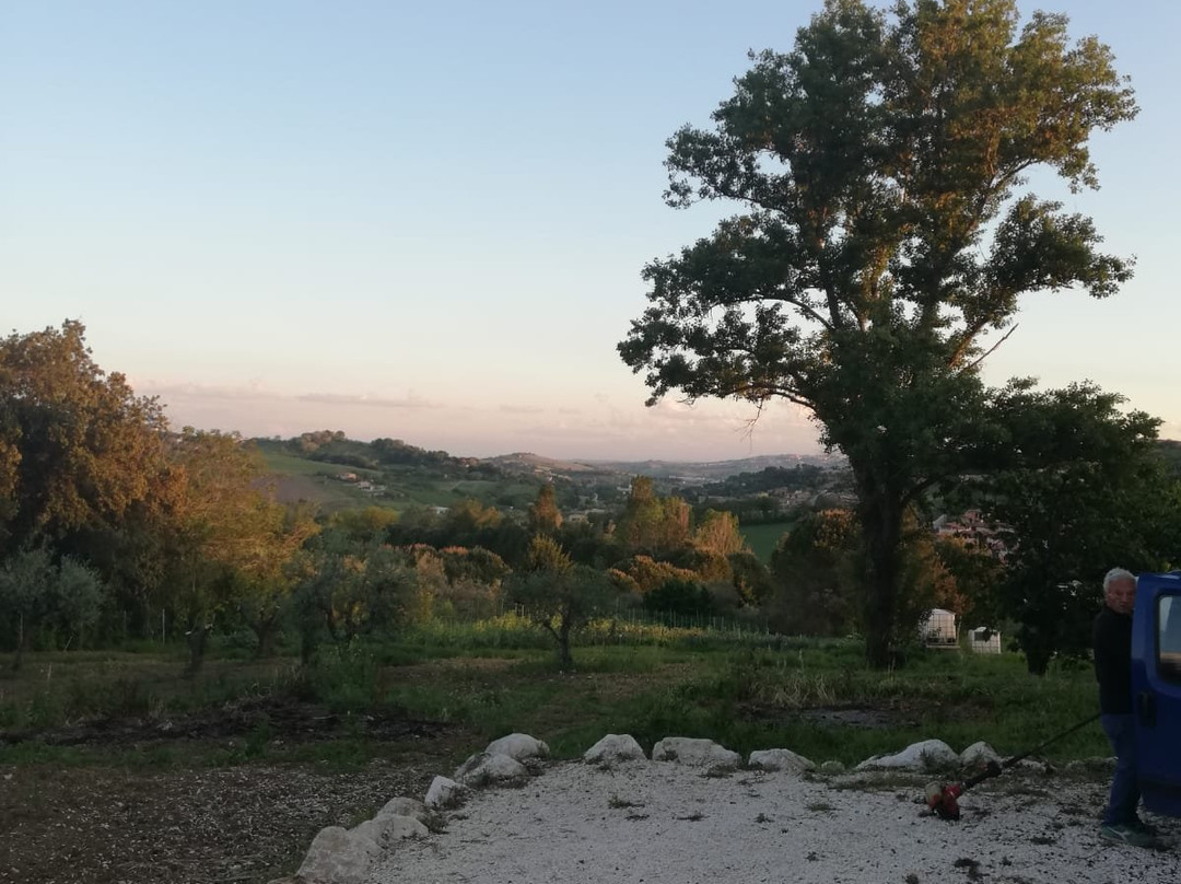 B&B Villa Colle主图