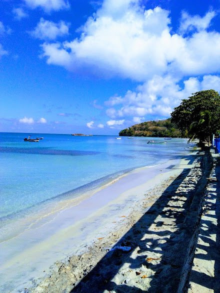 Posada Sweet Anashly主图