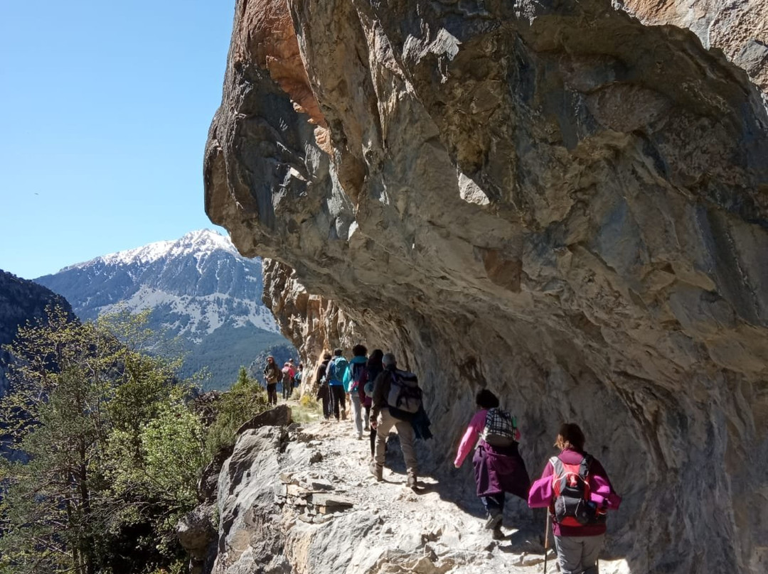 Andara Rutas-马德里必去景点