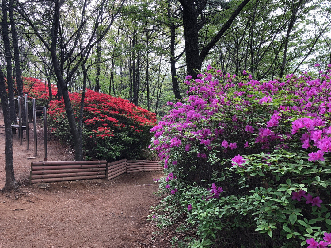 Buraksan-平泽市必去景点