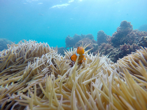 Tip-Top Destination-普吉镇必去景点
