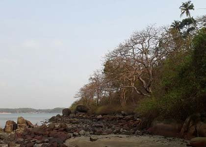 Palolem Island Reserve景点图片