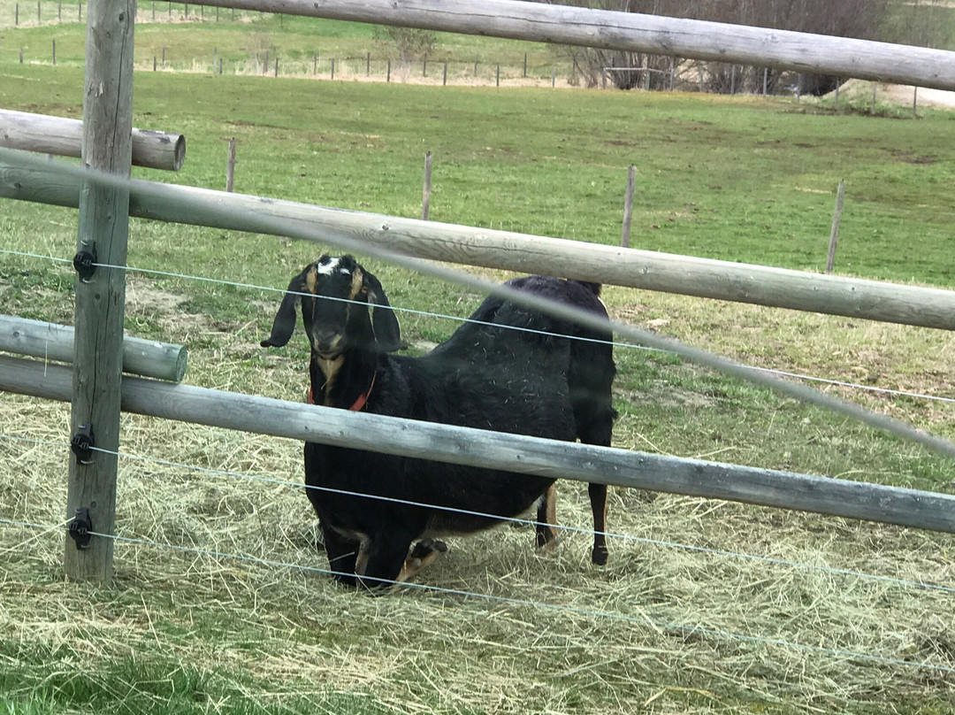 Brouse Creek B&b主图