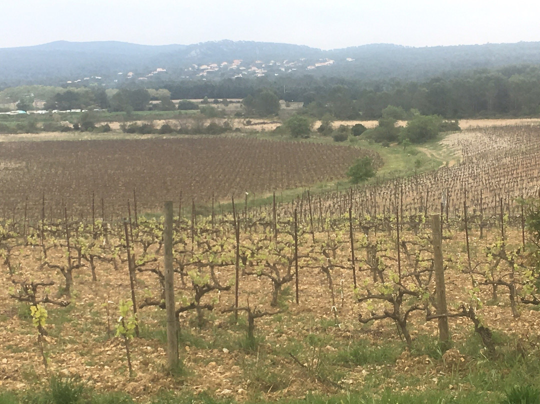 Bertrand Bosc Winetour-蒙彼利埃必去景点