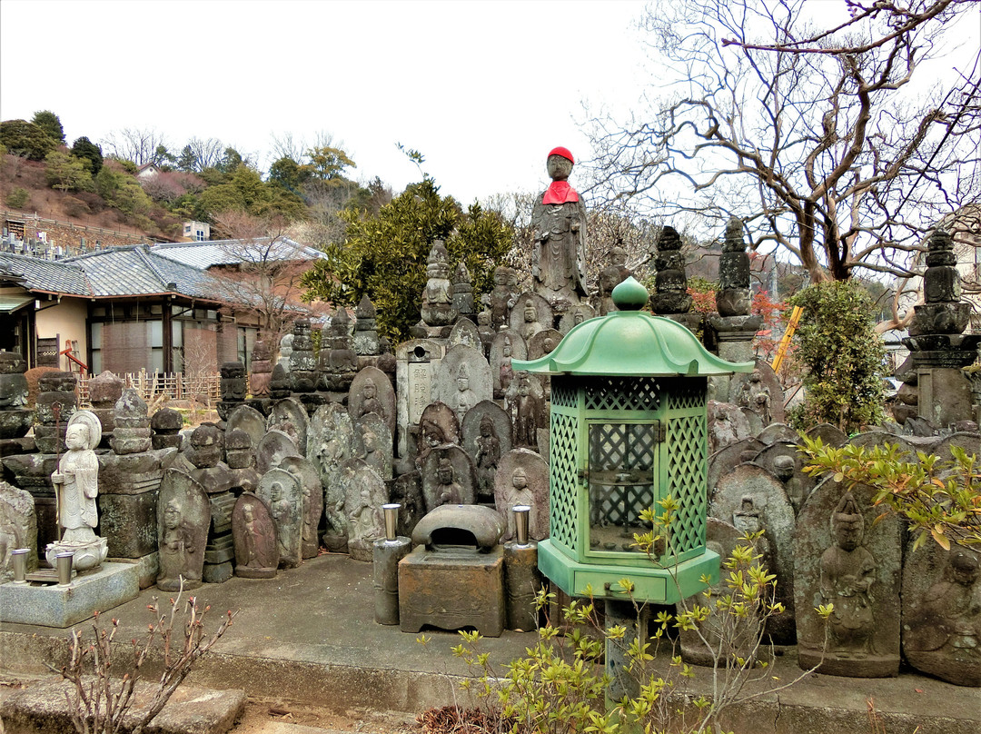 Fukugon-ji Temple景点图片