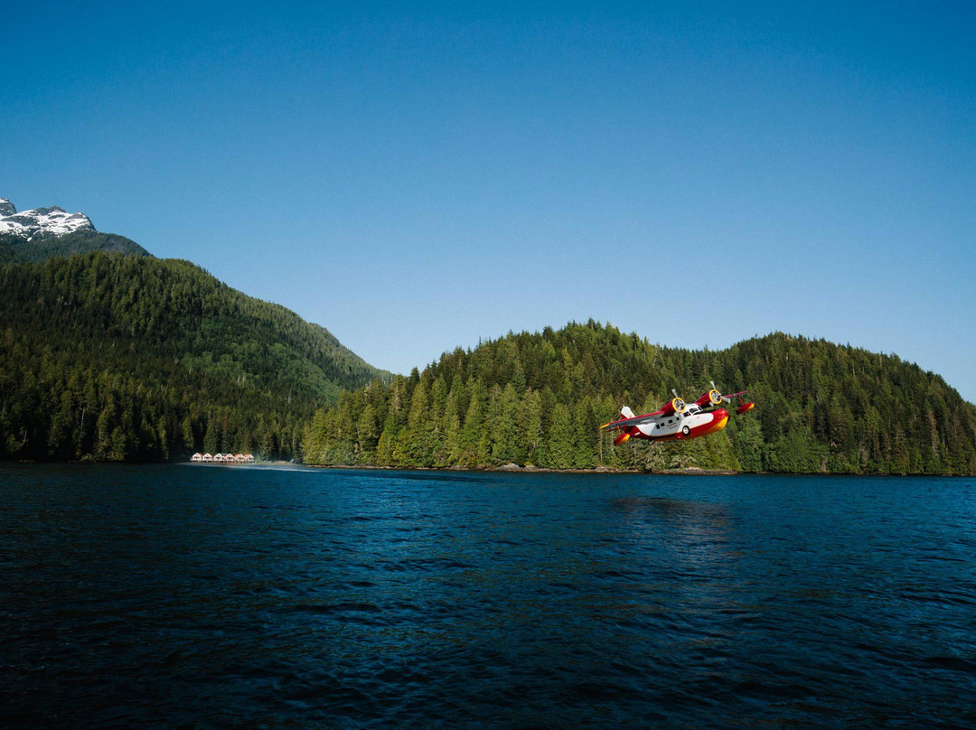 Echo Bay酒店住宿-Nimmo Bay Wilderness Resort