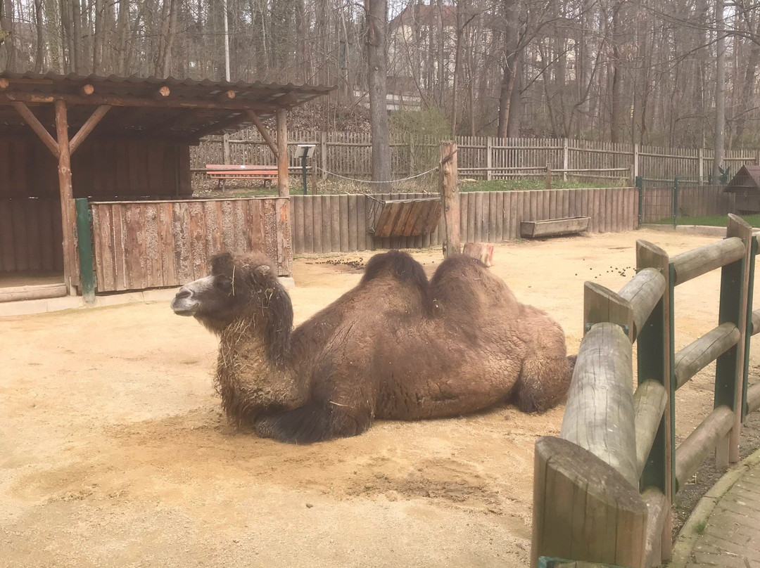 Tierpark Gera-Gera必去景点