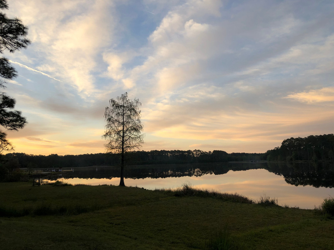 Laura S. Walker State Park景点图片