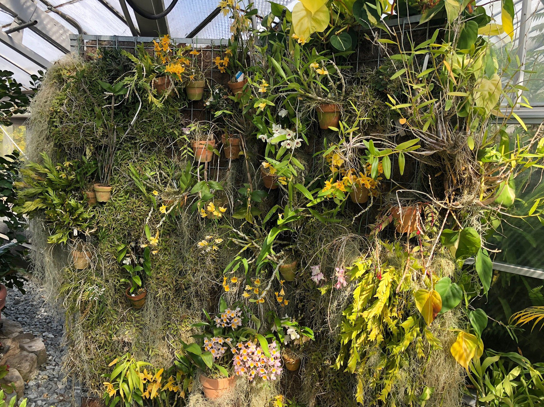 Hyogo Prefectural Flower Center-加西市必去景点